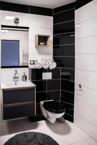 uma casa de banho em preto e branco com um WC e um lavatório em Apartament Szczęśliwy em Ustrzyki Dolne