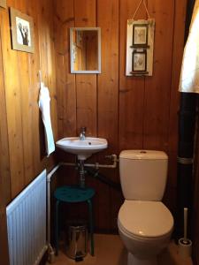 a bathroom with a toilet and a sink at Gaestehaus-Russegger in Abtenau