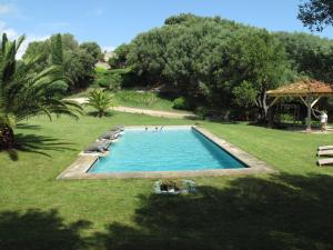 a swimming pool in the middle of a lush green yard at Domaine Panciarella in Saint-Florent