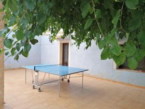 a ping pong table sitting under a tree at Casas Rurales Noguericas in Archivel