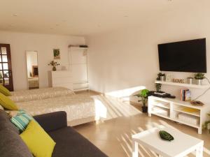 Il comprend un salon doté d'un canapé et d'une télévision à écran plat. dans l'établissement Sunny Setúbal Apartments, à Setúbal