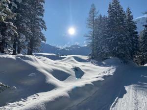 Frühstücks- & Apartmenthaus Maislau durante l'inverno