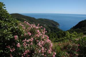 Afbeelding uit fotogalerij van Maison de Charme Giulietta in Bonassola