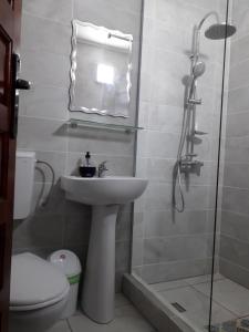 Casa Chitu的一间浴室