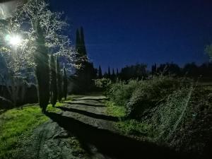 Zahrada ubytování Podere Campovecchio