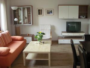 TV/trung tâm giải trí tại Panorama Ferienwohnungen im Hochsauerland