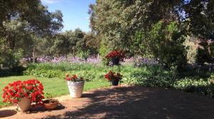 Zdjęcie z galerii obiektu Finca El Encinar, Country House in Alanís, Andalusia w mieście El Encinar