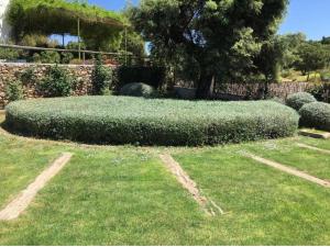 Zdjęcie z galerii obiektu Finca El Encinar, Country House in Alanís, Andalusia w mieście El Encinar