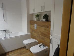 łazienka z toaletą, umywalką i wanną w obiekcie Apartament w centrum, garaż i jakuzzi w cenie we Wrocławiu