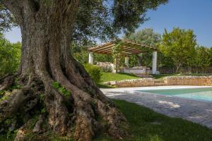 un grande albero accanto alla piscina di Trulli&Dimore - Dimora di Genna a Castellana Grotte