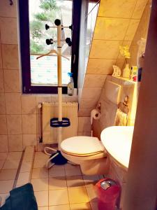 a bathroom with a toilet and a sink and a window at Rosenblick in Zingst