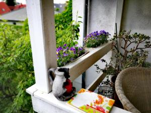 a toy penguin sitting on a balcony with flowers at Rosenblick in Zingst