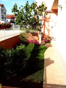 um jardim com uma árvore e flores ao lado de uma cerca em Tena Apartment em Zadar