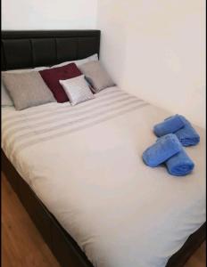 łóżko z dwoma niebieskimi poduszkami na górze w obiekcie Raeburn w Aberdeen