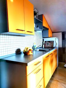 Kuchyň nebo kuchyňský kout v ubytování Tena Apartment