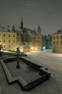 a building with a fountain in the middle of a street at Pension Altenburg City in Altenburg
