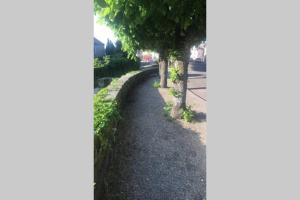 un vialetto alberato sul lato di una strada di le nid de Mymy a Nuits-Saint-Georges Altre 25 foto