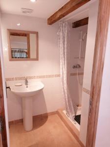 a bathroom with a sink and a shower at le clos du Patre in Caromb