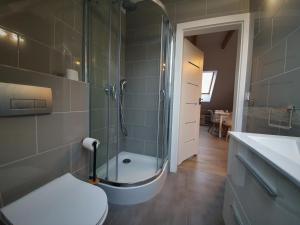 Ένα μπάνιο στο Apartament nad jeziorem WELLE +33 φωτογραφίες
