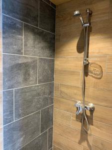 a shower in a bathroom with a stone wall at SKI LODGE in La Toussuire +65 photos