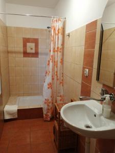 a bathroom with a sink and a shower and a tub at Guest House Kovalik in Suchá Hora