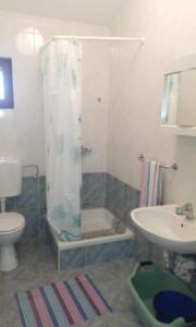 a bathroom with a shower and a toilet and a sink at Ivan in Starigrad-Paklenica