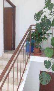 a staircase in a house with a plant at Ivan in Starigrad-Paklenica