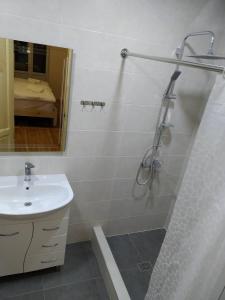 a bathroom with a shower and a sink and a mirror at Petit Dilijan in Dilijan