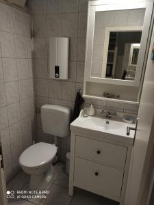 a bathroom with a toilet and a sink and a mirror at Ferienwohnung Küstenkind in Wendtorf +7 photos