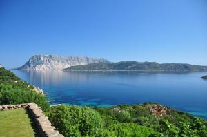圣特奥多罗Villaggio Est a Capo Coda Cavallo San Teodoro的相册照片