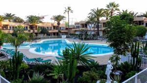 The swimming pool at or close to LasVistasApartment