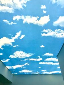 Φωτογραφία από το άλμπουμ του Apartment Duplex σε Pančevo +19 φωτογραφίες