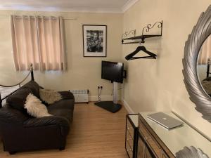 a living room with a couch and a tv at Southernwood - Studio 2 in Didcot