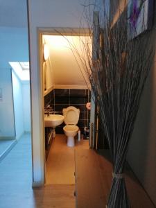 Koupelna v ubytování Appartement Chaudes-Aigues