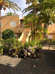 A garden outside LasVistasApartment
