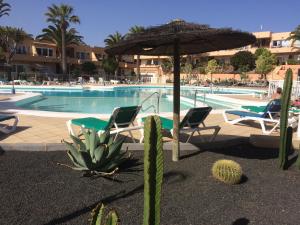The swimming pool at or close to LasVistasApartment