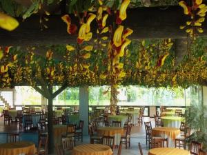 un restaurant avec des tables, des chaises et des bananes suspendues au plafond dans l'établissement Tureck Garten Hotel, à Corupá