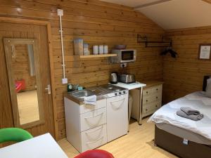eine Küche mit Herd und ein Bett in einem Zimmer in der Unterkunft Southernwood - Garden Lodge 2 in Didcot
