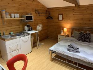 a room with a bed and a sink and a kitchen at Southernwood - Garden Lodge 4 in Didcot