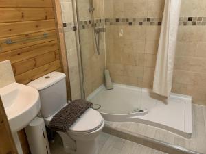 La salle de bains est pourvue de toilettes, d'une douche et d'un lavabo. dans l'établissement Southernwood - Garden Lodge 5, à Didcot