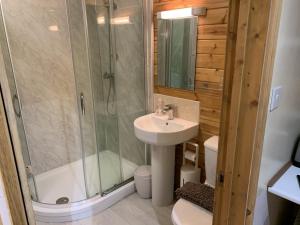 a bathroom with a shower and a sink and a toilet at Southernwood - Garden Lodge 6 in Didcot