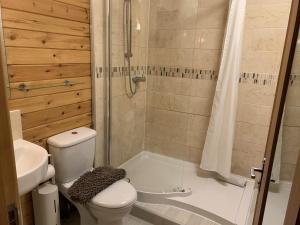 uma casa de banho com um WC e um chuveiro em Southernwood - Garden Lodge 7 em Didcot