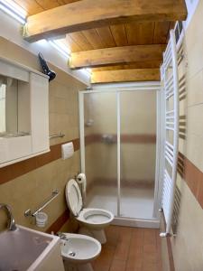 een badkamer met een douche, een toilet en een wastafel bij B&B Barone in Rionero in Vulture