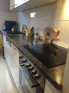 a kitchen with a counter with a stove top oven at Exclusive Living Apartment 2 Zimmer bis zu 4 Personen in Nürnberg