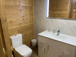 ein Badezimmer mit einem WC, einem Waschbecken und einem Spiegel in der Unterkunft Southernwood - Garden Lodge 9 in Didcot