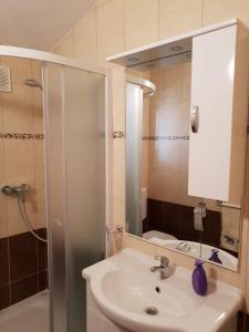Koupelna v ubytování Apartmani BM Bošnjak