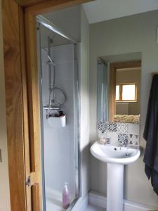 a bathroom with a shower and a sink and a mirror at Coed Canol Farm in Abergavenny