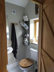 a bathroom with a toilet and a sink at Coed Canol Farm in Abergavenny