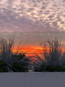 Gallery image of Super attico sul mare in Lido di Camaiore