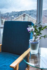 a blue chair with a glass table with a plant on it at Hideout Apartment in Predeal